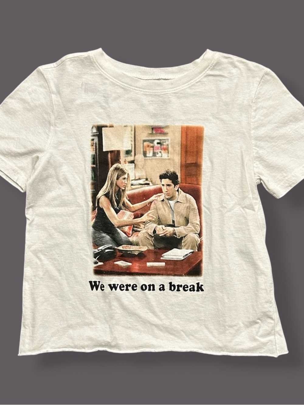 Y2K Style Friends TV Series T-Shirt We Were On A Break Cropped Tee